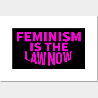 feminism is the law now Posters and Art